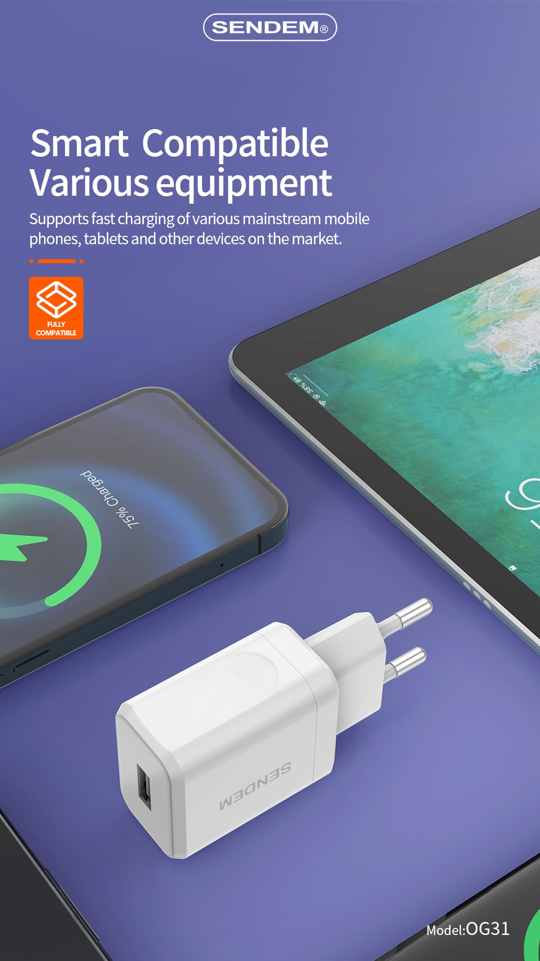 OG31-Ruishan series EU plug 2.4A USB wall charger  (4)