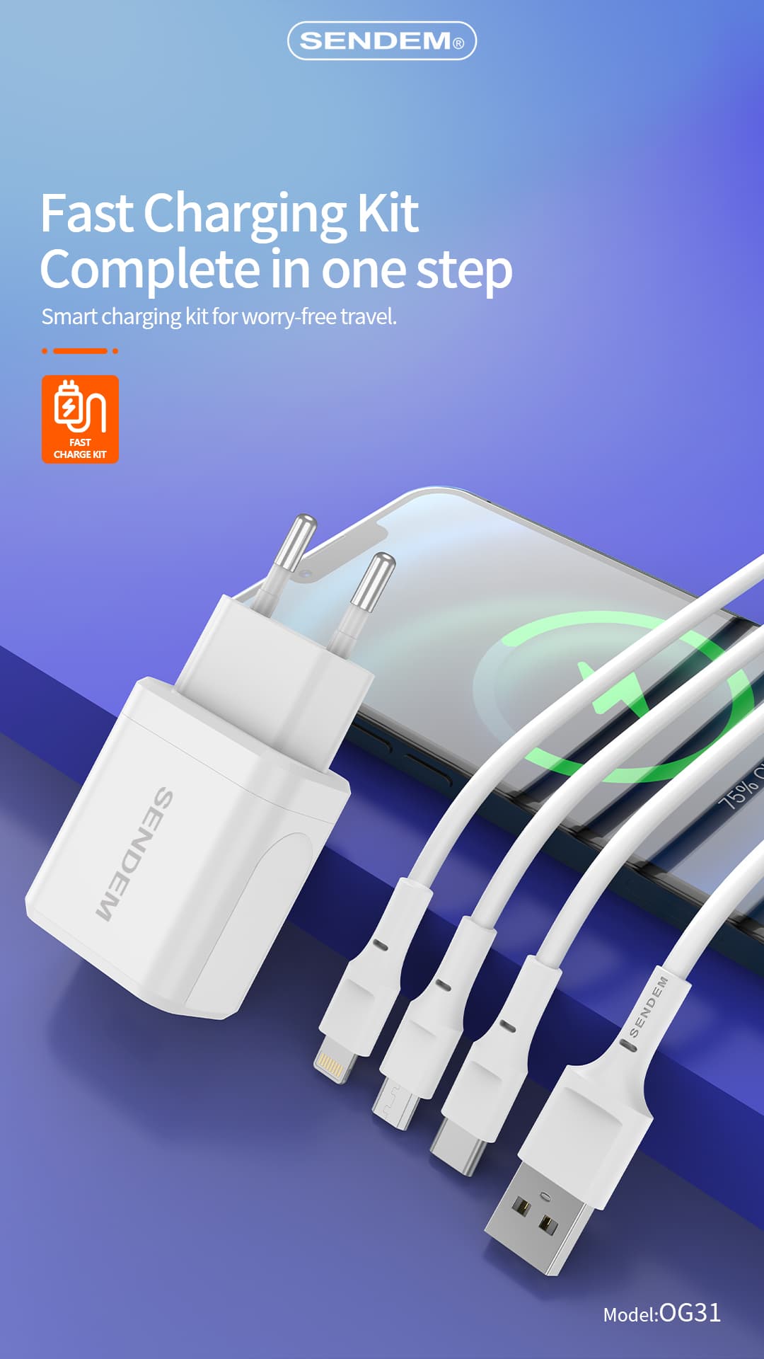 OG31-Ruishan series EU plug 2.4A USB wall charger  (6)